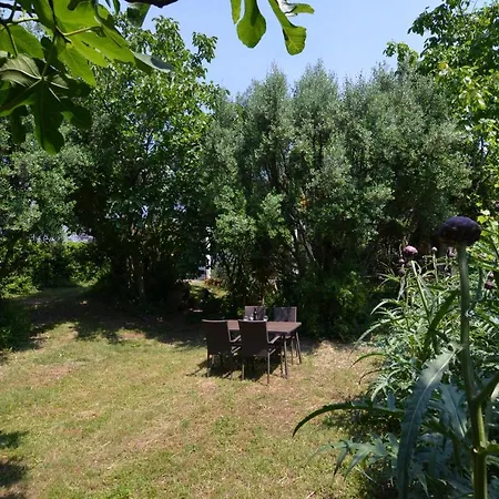 Oleander Ровинь